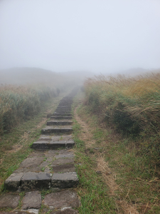 冷苗秋芒，七星主東