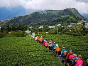 2026-07-26 頂湖大凍山、霹靂山、樂野山