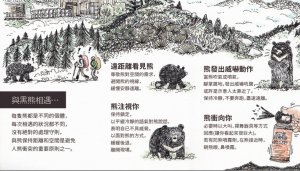 【新聞】臺東林管處呼籲：黑熊不應該出沒校園、讓牠回歸野熊