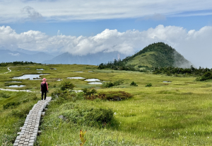 ［日本百名山］雲端上的花園天堂⋯ 苗場山