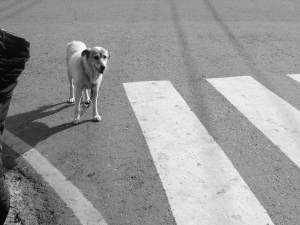 天梯。去哪取經？