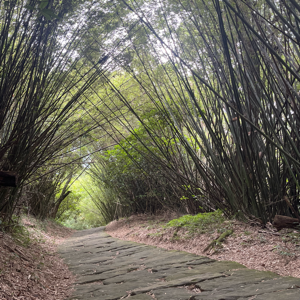 Kathy Chang的頭像