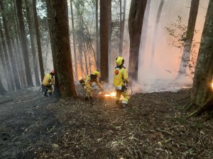 森林火災好發期 中南部林火風險升高