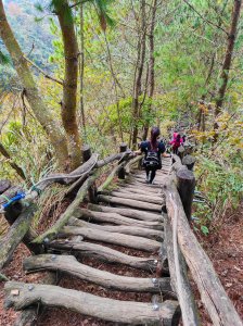 大坑4號步道/頭嵙山