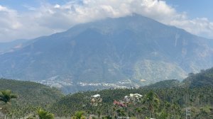 風櫃斗梅花，為有暗香來-------在八通關古道沿途