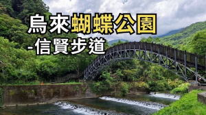 新北烏來 大羅蘭溪古圳步道-蝴蝶公園-溪瀧步道-信賢步道