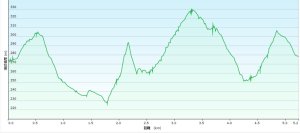 20260110楊梅福人步道-老坑山-保甲古道-東森山林步道-小楊梅步道-秀才步道茶園段