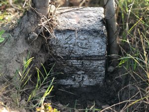 台南市六甲、下營、學甲土地調查局圖根點。龜子港、下營南部、連表、茅港尾總督府圖根補點、草苞、大灣