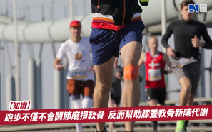 【知識】跑步不僅不會關節磨損軟骨  反而幫助膝蓋軟骨新陳代謝