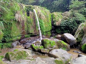 【臺北大縱走 7】花草樹木、地質景觀豐富的指南宮貓空親山步道