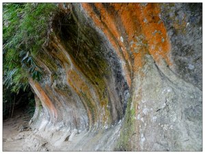 三峽/鳶山彩壁(小百岳)