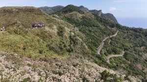 2025.11.29－草嶺古道芒花季