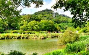 桃園十一指古道，日月埤塘，百年茄苳老樹，簡家古厝，頭寮生態步道，慈湖紀念雕塑公園，經國紀念館