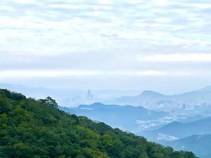 三峽動物縱走