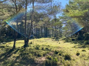 【山系野遊】中秋登戒茂斯上嘉明湖