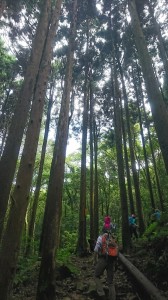 2017/07/08 加里山雲霧飄渺