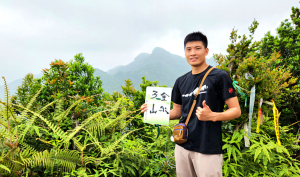 夢幻竹林的旅途，三峽詩朗山，金敏子山