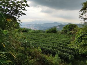 雨天的銀河洞瀑布