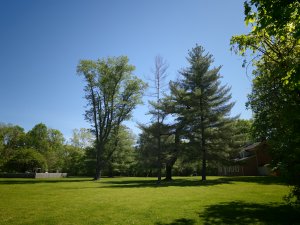 [美國行-05] 2026_0510 火雞跑步州立公園-步道四