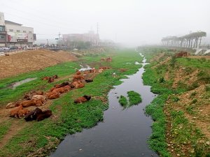 從新（心）出發遊蘆竹 - 横坑山、大古山步道