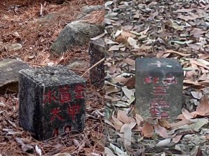 探勘台中和平裡冷山及裡冷山南峰