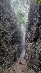 大崗山盤龍峽谷步道