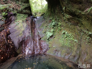 平溪區石古井古道(新路徑)+青林山+盤山坑古道O型