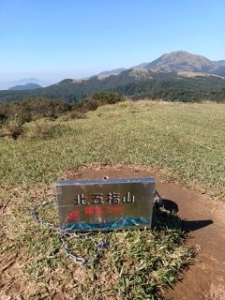 快樂的魚的頭像