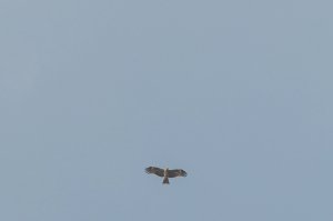 槓子寮山 & 槓子寮砲台-愜意而收穫豐富的懶人行程