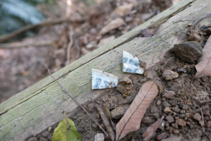 烏山嶺水利古道東西縱走