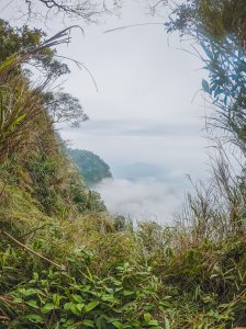 20200129-關子嶺九龍山、大凍山、雞籠山O型縱走