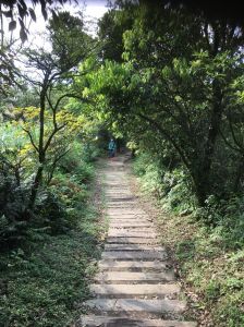 姜子寮山步道