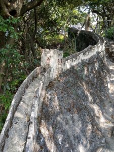 令人讚嘆的小人國步道-鯉魚山親山步道