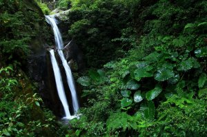 【新聞】減少不必要外出，林務局全國各森林育樂場域 5/18至5/28暫停開放