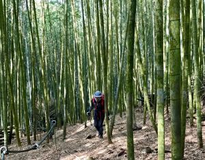 水社大山向前行