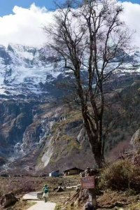 【雨崩七日】在梅里雪山，我找到更純粹的徒步感動
