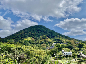 《中正山 × 紗帽山｜穿越北投古道與山林的一日縱走！》