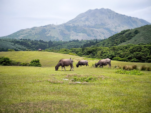 ❤ 穿越風的草原，走向沉睡的火山-磺嘴山
