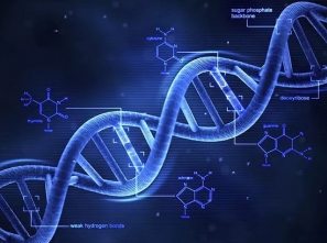 【爭議】DNA 基因測試準確嗎？