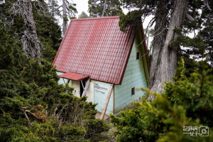 【雪山北峰】單攻雪山北峰x穿越黑森林碎石坡x欣賞高山杜鵑圈谷可愛夢幻雪北山屋