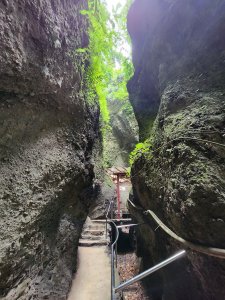 20230917 觀音山（盤絲-鷹仔尖-潮音洞-東明山-占山-北橫古道-駱駝-硬漢嶺）