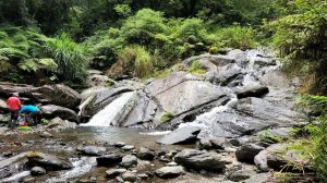 雙瀑，激流，叢林，秘境探險，烏來西坑林道