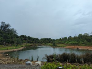 2025.07.20－霄裡好風光：大湳森林公園&亮亮健康樂園