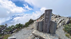 八大秀（3日）趴兔