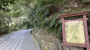 聖母登山步道（抹茶山）