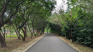 大湳森林公園散散步
