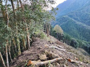 路隘寮山上鵝公髻山