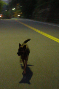 登刀石崙，以泡麵土地公結束