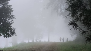 20251010 台中 大雪山國家森林遊樂區 - 船型山林道（210林道）登烏石坑山