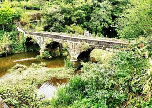 新竹石牛山，渡南古道，飛鳳古道，東安古橋，馬武督糯米橋，羅屋書院，得月樓